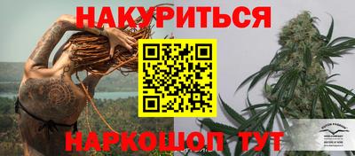 крисы Канаш